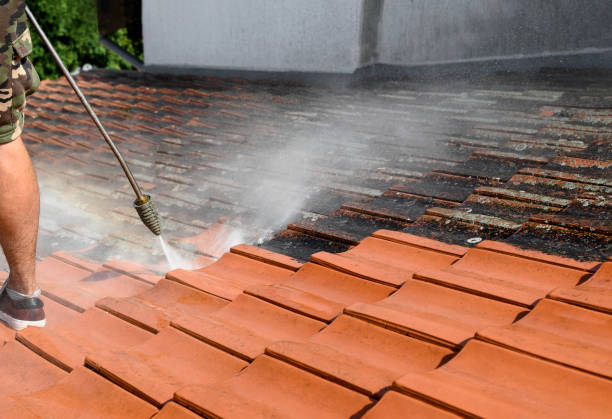 Best Affordable Power Washing  in Mays Chapel, MD