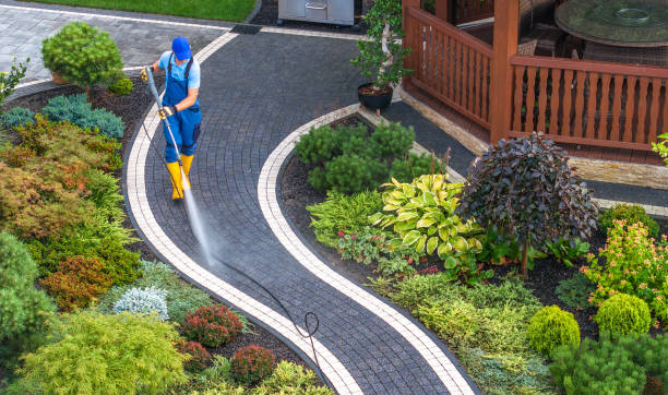 Best Pressure Washing Company Near Me  in Mays Chapel, MD