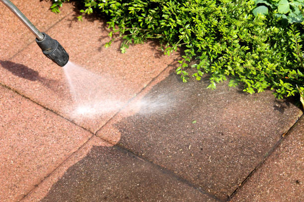 Best Power Washing Near Me  in Mays Chapel, MD