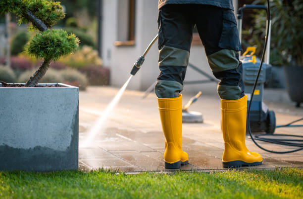 Best Local Pressure Washing Services  in Mays Chapel, MD